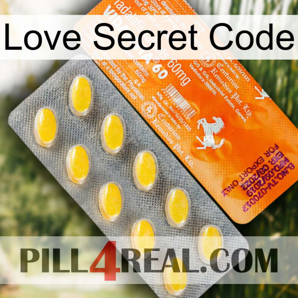 Love Secret Code new05.jpg